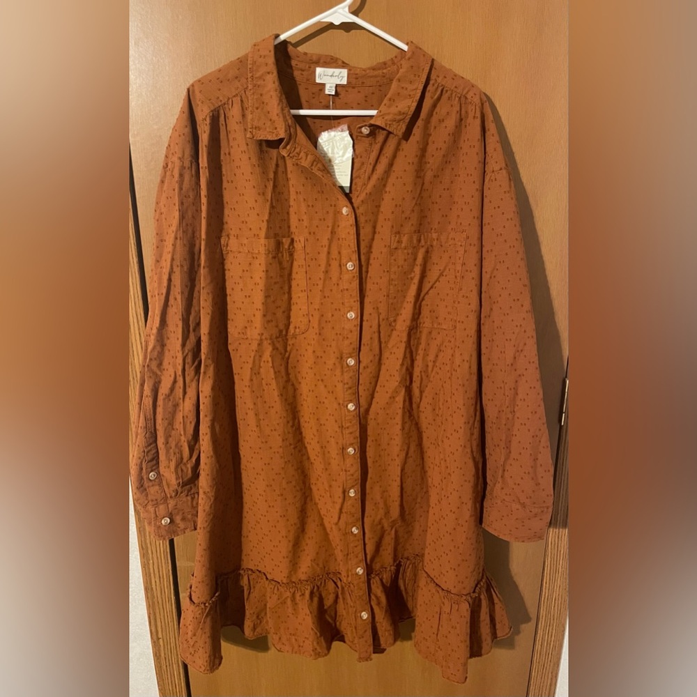 Wonderly Rust 4XL Button Collared Tunic/Dress